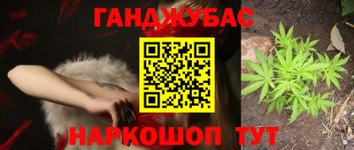 дмт Заводоуковск