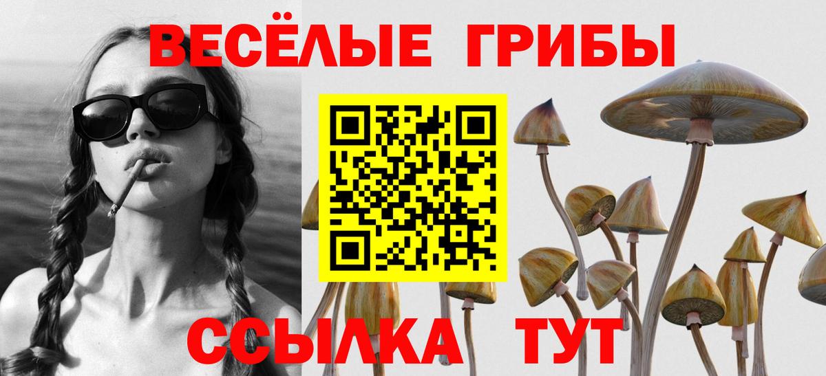 Псилоцибиновые грибы Cubensis  Вход с VPN  купить наркотики сайты  Лянтор 