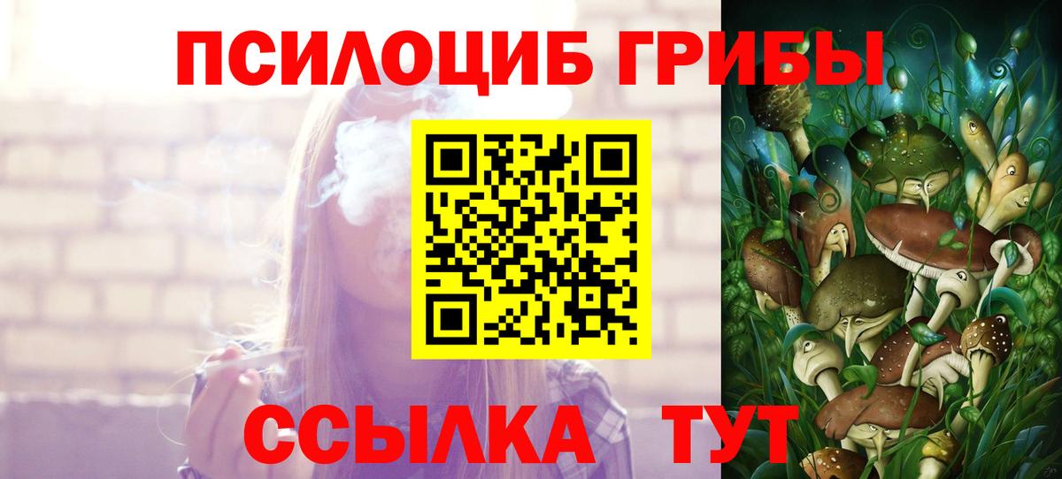 Псилоцибиновые грибы Cubensis Лянтор